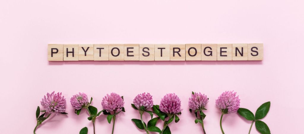 phytoestrogens_shutterstock_2212831945